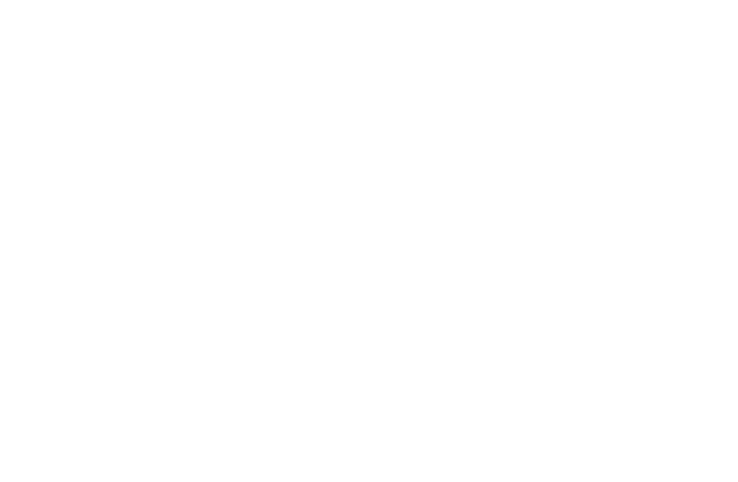 Logotipo Secundário - Mono N